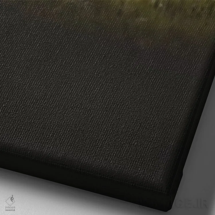 تابلو دکوراتیو خیره نگاه کردن اثر جو شاتر - نمای نزدیک بافت بوم