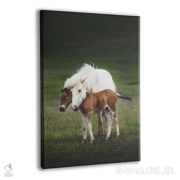 تابلو دکوراتیو مهربانی اثر جو شاتر - نمای پرسپکتیو محصول