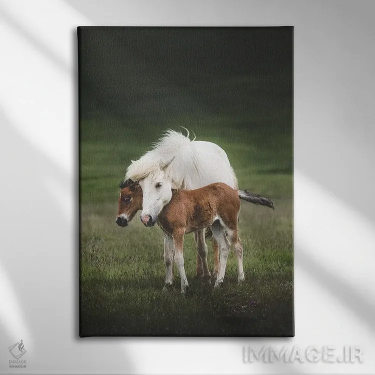 تابلو دکوراتیو مهربانی اثر جو شاتر - نمای روبهرو روی دیوار