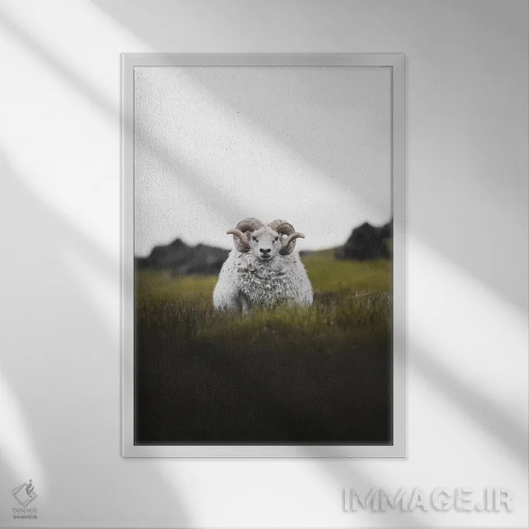 تابلو دکوراتیو خیره نگاه کردن اثر جو شاتر - نمای قابدار سفید