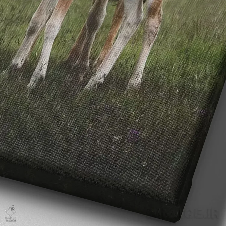 تابلو دکوراتیو مهربانی اثر جو شاتر - نمای نزدیک بافت بوم