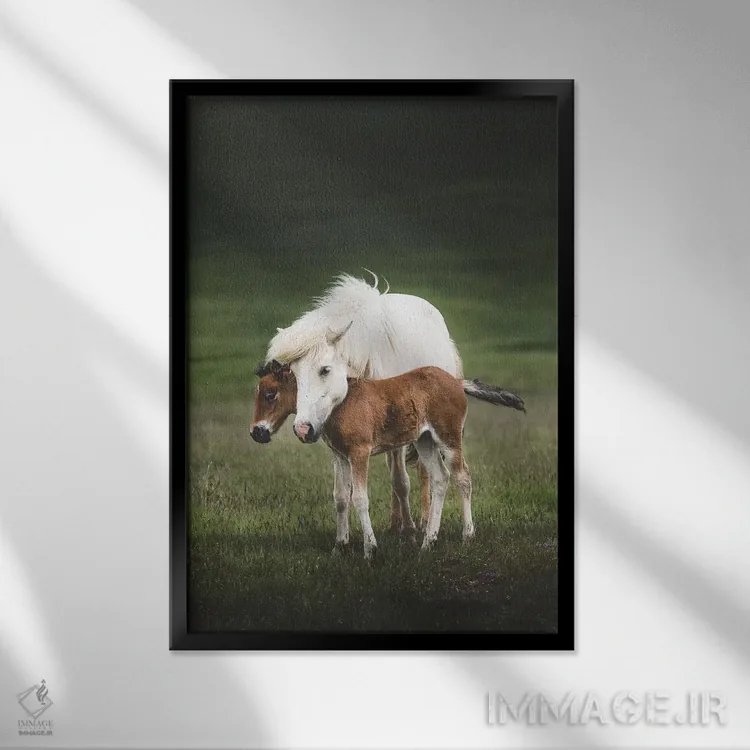 تابلو دکوراتیو مهربانی اثر جو شاتر - نمای قابدار مشکی