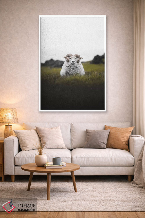 تابلو دکوراتیو خیره نگاه کردن اثر جو شاتر - D1W