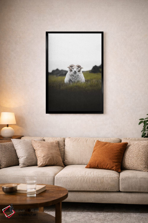 تابلو دکوراتیو خیره نگاه کردن اثر جو شاتر - D3B