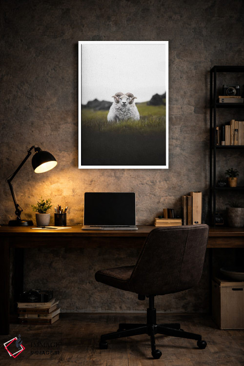 تابلو دکوراتیو خیره نگاه کردن اثر جو شاتر - D6W