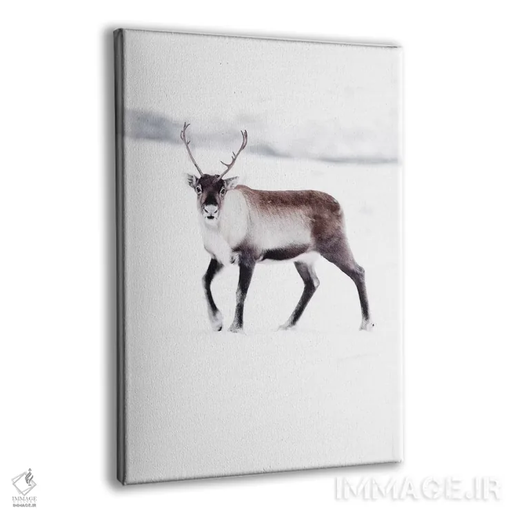 تابلو دکوراتیو گوزن شمالی قطبی اثر جو شاتر - نمای پرسپکتیو محصول