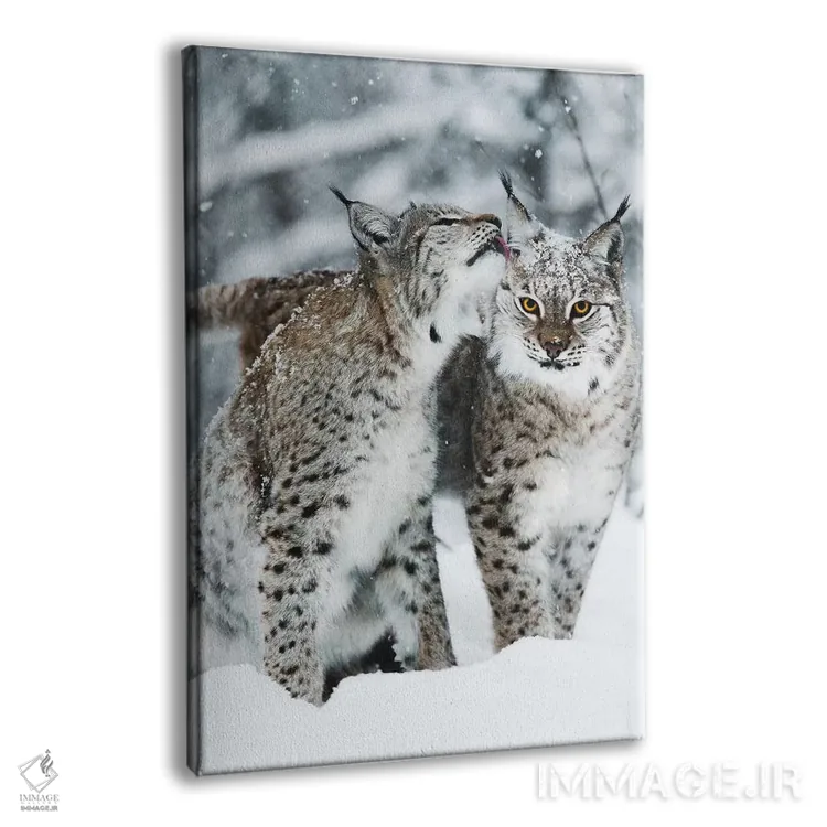 تابلو دکوراتیو باهم بودن اثر جو شاتر - نمای پرسپکتیو محصول