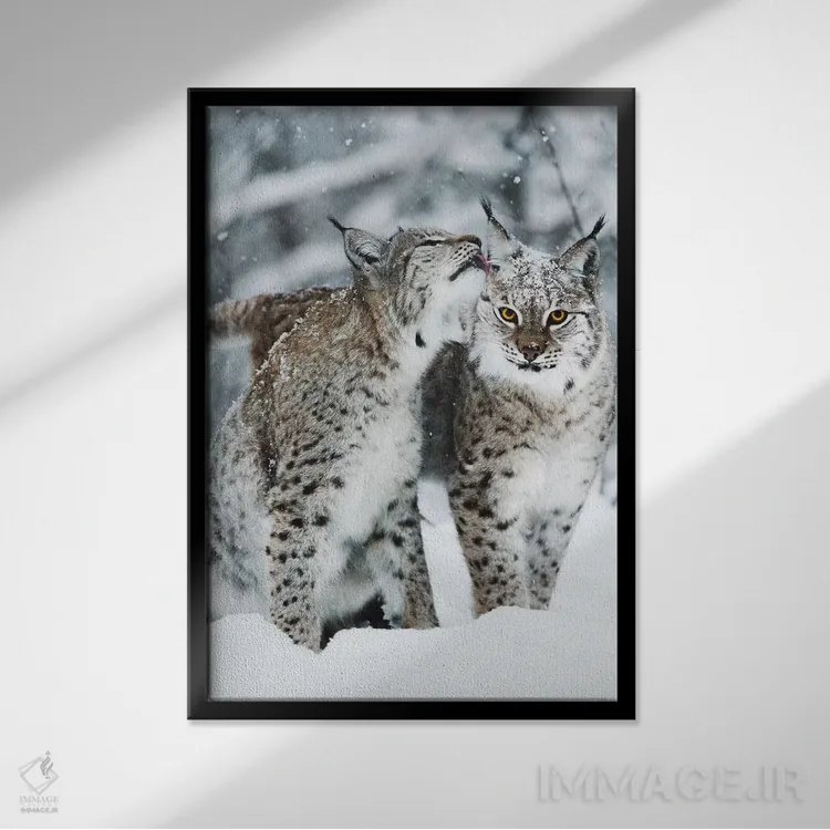 تابلو دکوراتیو باهم بودن اثر جو شاتر - نمای قابدار مشکی