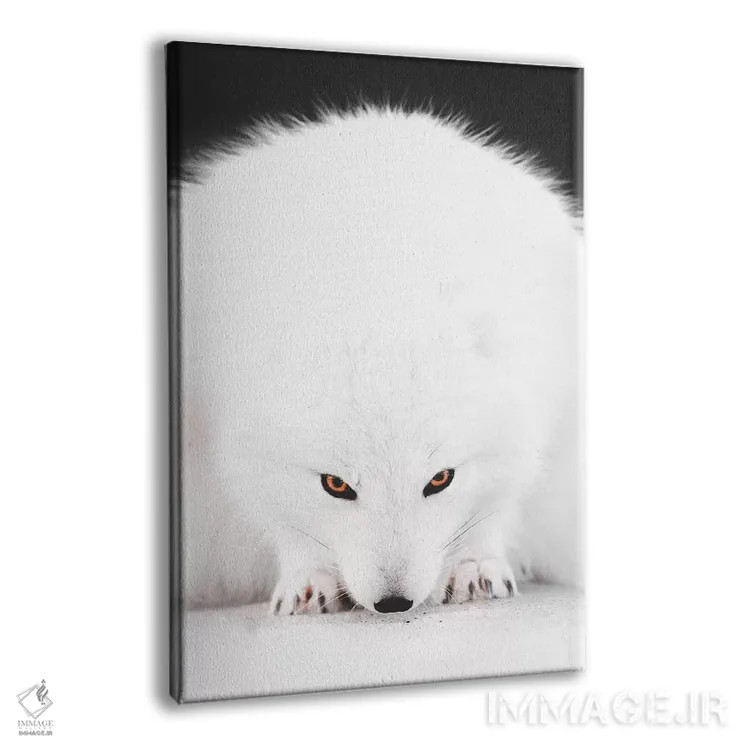 تابلو دکوراتیو روباه سفید ۱ اثر جو شاتر - نمای پرسپکتیو محصول