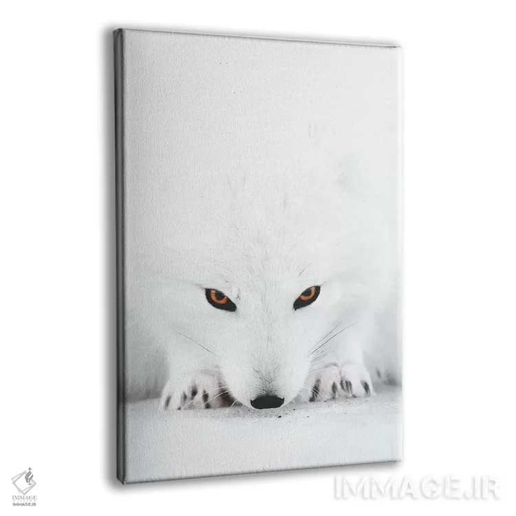 تابلو دکوراتیو روباه سفید ۲ اثر جو شاتر - نمای پرسپکتیو محصول
