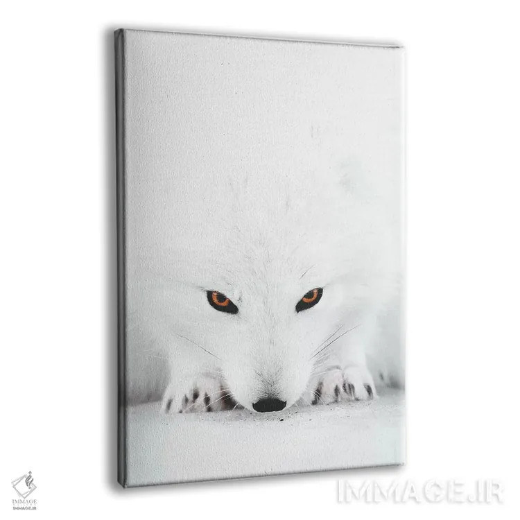 تابلو دکوراتیو روباه سفید ۲ اثر جو شاتر - نمای پرسپکتیو محصول