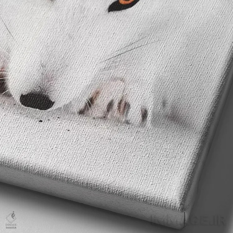 تابلو دکوراتیو روباه سفید ۱ اثر جو شاتر - نمای نزدیک بافت بوم