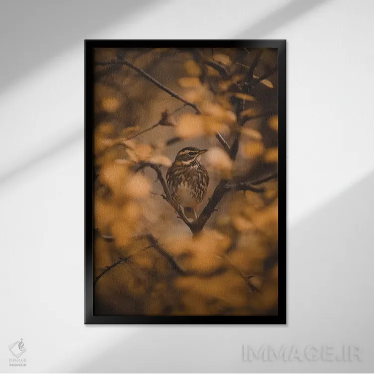 تابلو دکوراتیو صداها در برگ ها اثر جو شاتر - نمای قابدار مشکی