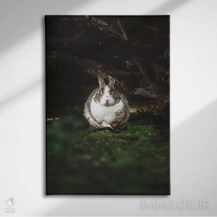 تابلو دکوراتیو خرگوش خیس اثر جو شاتر - نمای روبهرو روی دیوار