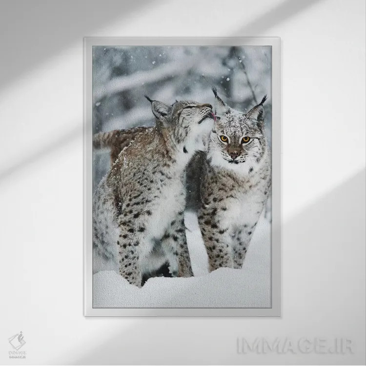 تابلو دکوراتیو باهم بودن اثر جو شاتر - نمای قابدار سفید