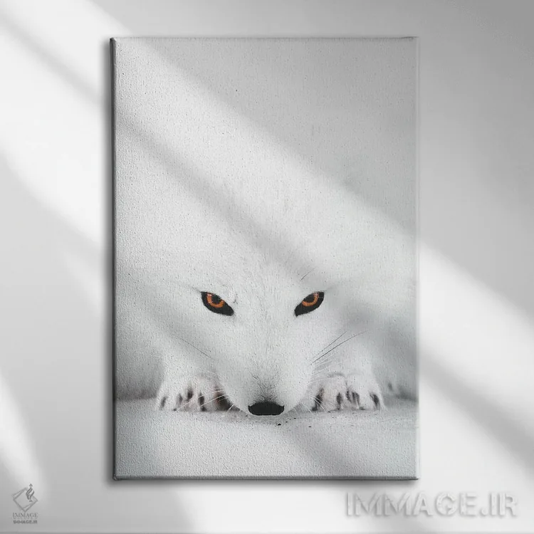 تابلو دکوراتیو روباه سفید ۲ اثر جو شاتر - نمای روبهرو روی دیوار