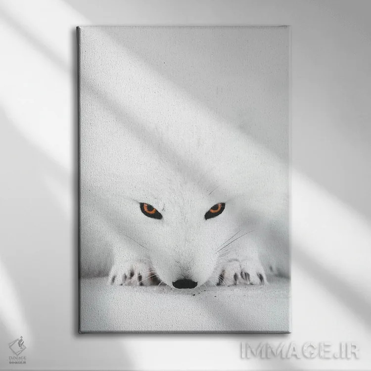 تابلو دکوراتیو روباه سفید ۲ اثر جو شاتر - نمای روبهرو روی دیوار
