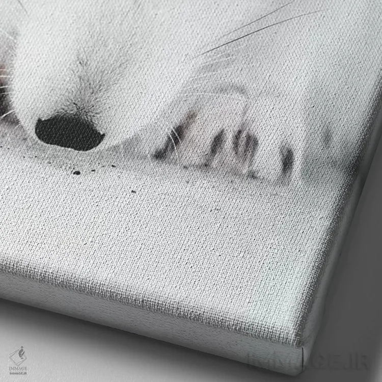 تابلو دکوراتیو روباه سفید ۲ اثر جو شاتر - نمای نزدیک بافت بوم