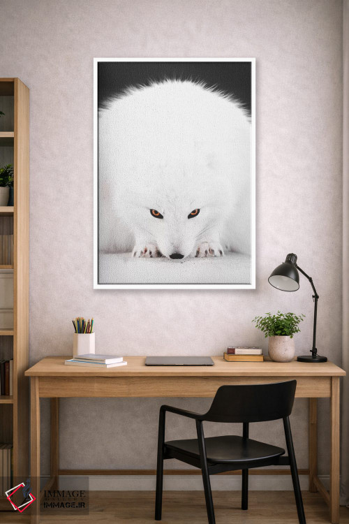 تابلو دکوراتیو روباه سفید ۱ اثر جو شاتر - D1W
