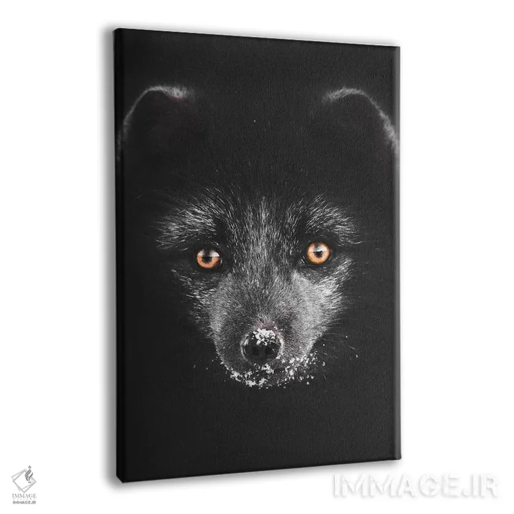تابلو دکوراتیو روباه سیاه اثر جو شاتر - نمای پرسپکتیو محصول