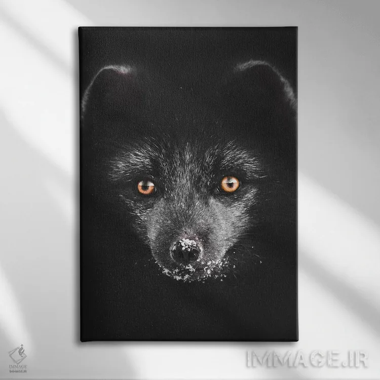 تابلو دکوراتیو روباه سیاه اثر جو شاتر - نمای روبهرو روی دیوار