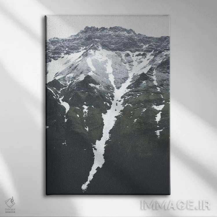 تابلو دکوراتیو برف در حال فرود اثر جو شاتر - نمای روبهرو روی دیوار