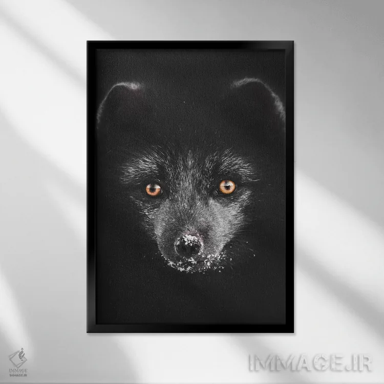 تابلو دکوراتیو روباه سیاه اثر جو شاتر - نمای قابدار مشکی