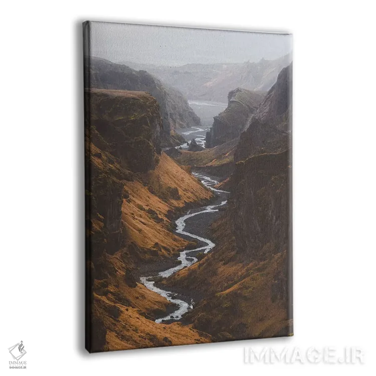 تابلو دکوراتیو ستون فقرات گربه اثر جو شاتر - نمای پرسپکتیو محصول