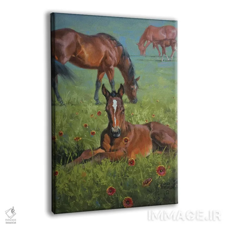 تابلو دکوراتیو پتو سرخ پوستی اثر جک سورنسن - نمای پرسپکتیو محصول