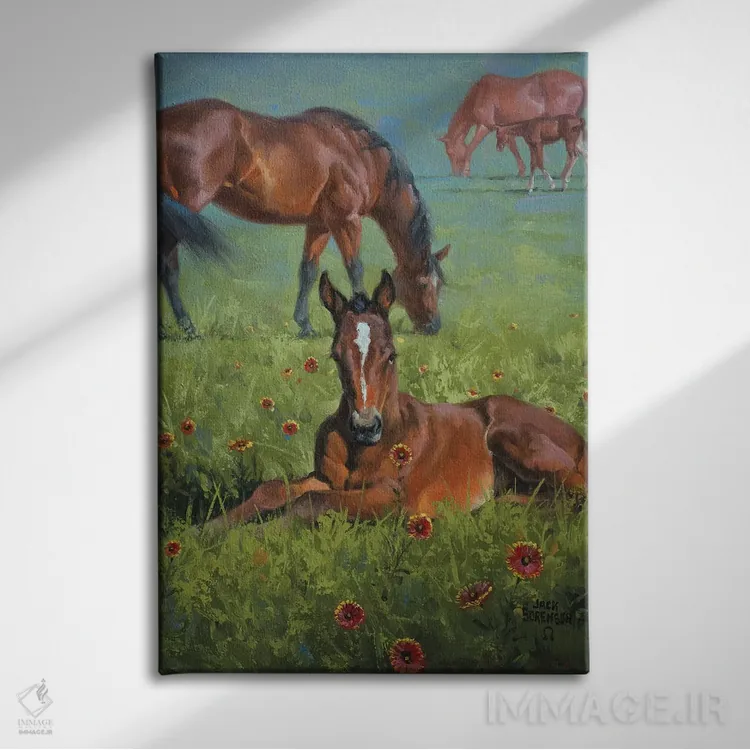 تابلو دکوراتیو پتو سرخ پوستی اثر جک سورنسن - نمای روبهرو روی دیوار