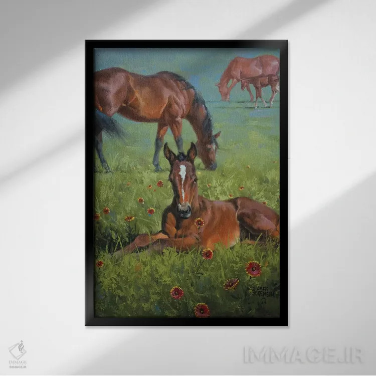 تابلو دکوراتیو پتو سرخ پوستی اثر جک سورنسن - نمای قابدار مشکی