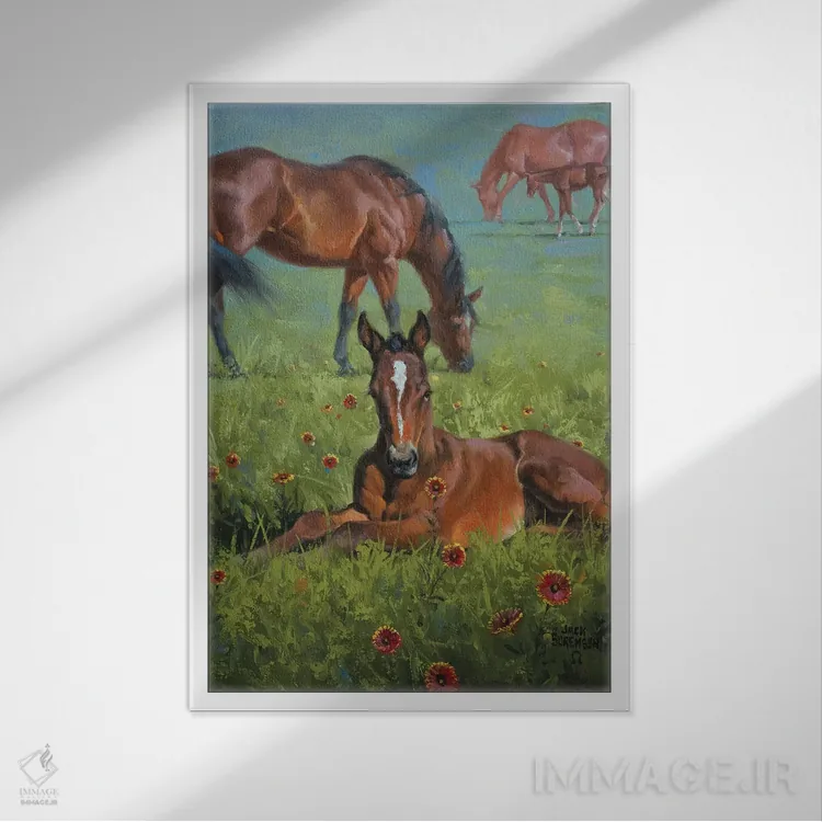 تابلو دکوراتیو پتو سرخ پوستی اثر جک سورنسن - نمای قابدار سفید