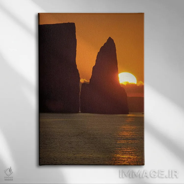 تابلو دکوراتیو San Cristobal Island, Galapagos Islands, Ecuador,کیکر را… اثر جک استاین گروو - نمای روبهرو روی دیوار