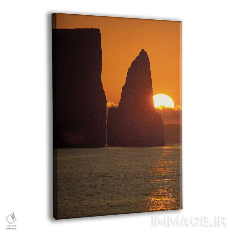 تابلو دکوراتیو San Cristobal Island, Galapagos Islands, Ecuador,کیکر را… اثر جک استاین گروو - نمای پرسپکتیو محصول