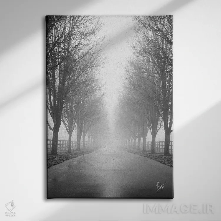 تابلو دکوراتیو جاده کنجکاو اثر جاستین اسپایوی - نمای روبهرو روی دیوار
