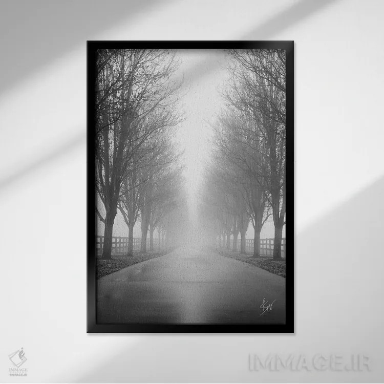 تابلو دکوراتیو جاده کنجکاو اثر جاستین اسپایوی - نمای قابدار مشکی