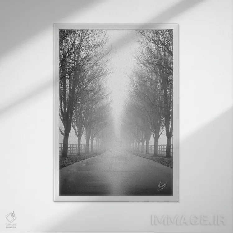 تابلو دکوراتیو جاده کنجکاو اثر جاستین اسپایوی - نمای قابدار سفید