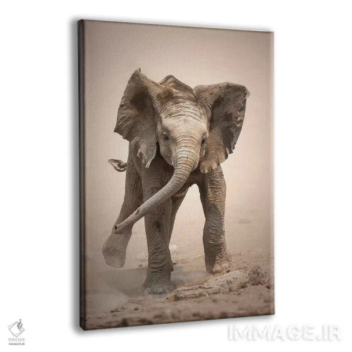 تابلو دکوراتیو حمله نمایشی گوساله فیل اثر یوهان سوانپوئل - نمای پرسپکتیو محصول