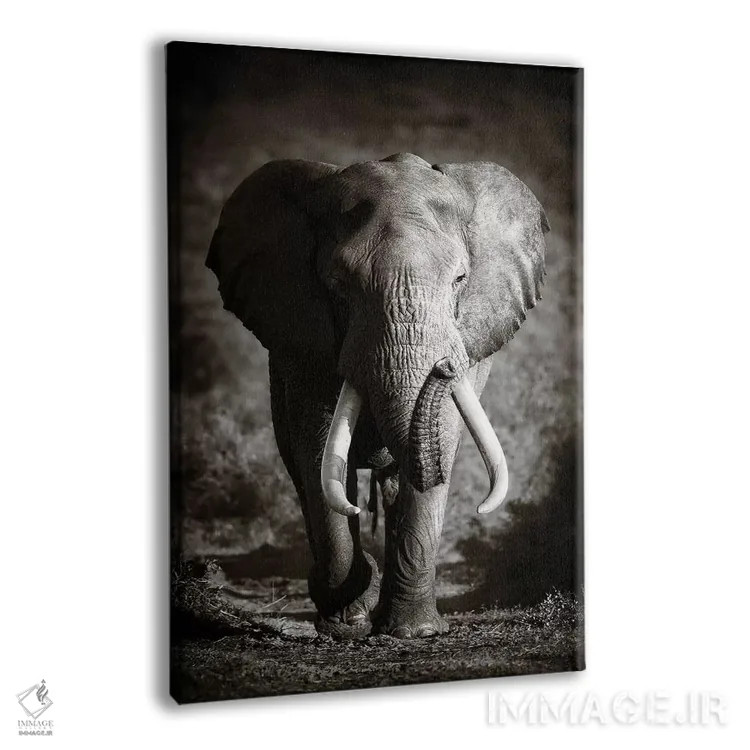 تابلو دکوراتیو فیل نر بالغ اثر یوهان سوانپوئل - نمای پرسپکتیو محصول