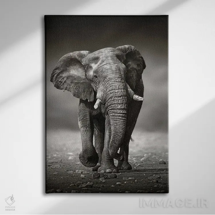 تابلو دکوراتیو نزدیک شدن فیل از روبرو اثر یوهان سوانپوئل - نمای روبهرو روی دیوار