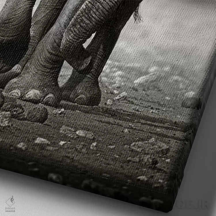 تابلو دکوراتیو نزدیک شدن فیل از روبرو اثر یوهان سوانپوئل - نمای نزدیک بافت بوم