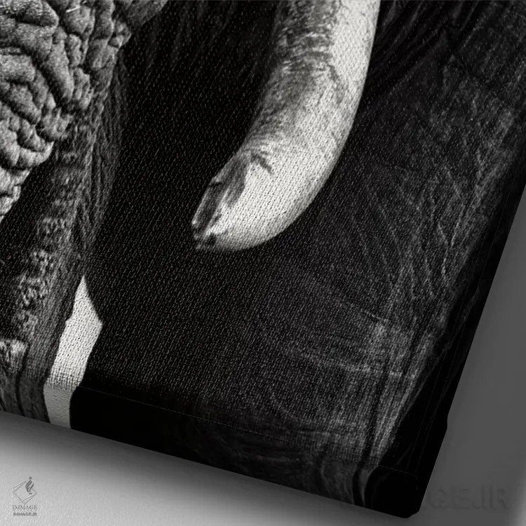 تابلو دکوراتیو پرتره نزدیک فیل اثر یوهان سوانپوئل - نمای نزدیک بافت بوم