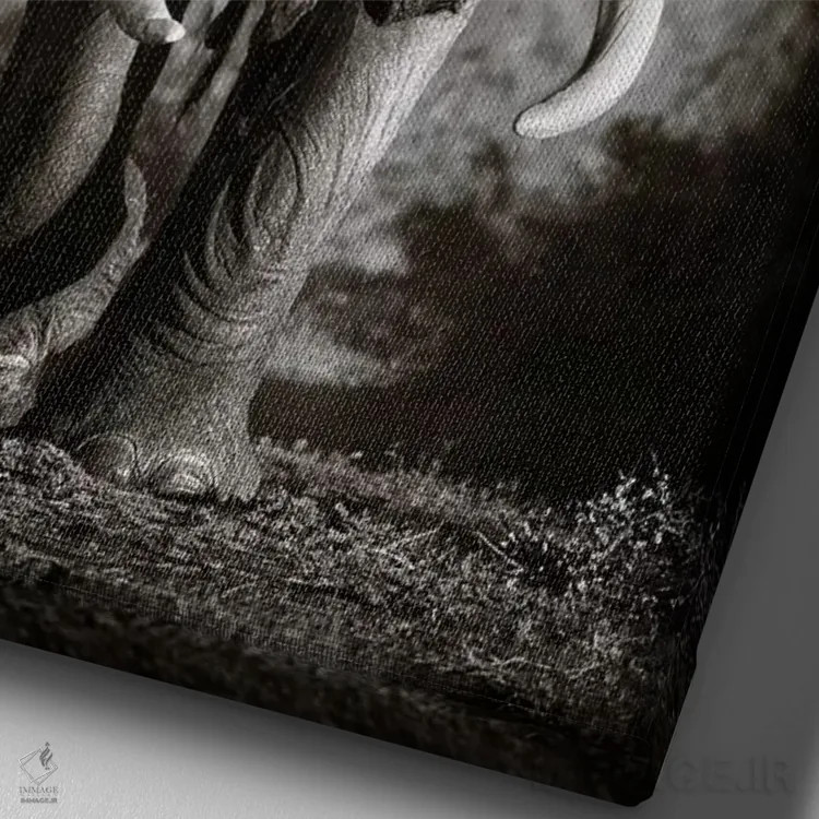 تابلو دکوراتیو فیل نر بالغ اثر یوهان سوانپوئل - نمای نزدیک بافت بوم