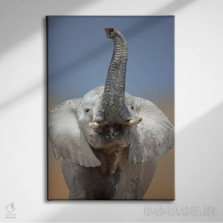 تابلو دکوراتیو پرتره فیل اثر یوهان سوانپوئل - نمای روبهرو روی دیوار
