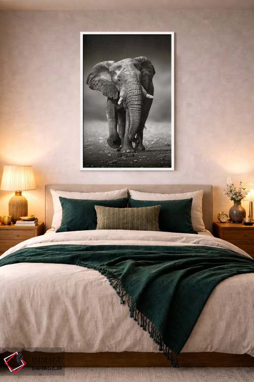 تابلو دکوراتیو نزدیک شدن فیل از روبرو اثر یوهان سوانپوئل - D2W