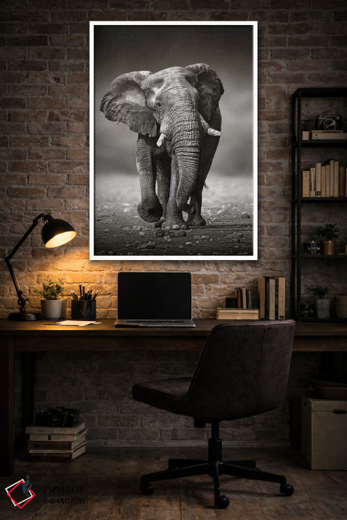 تابلو دکوراتیو نزدیک شدن فیل از روبرو اثر یوهان سوانپوئل - D4W