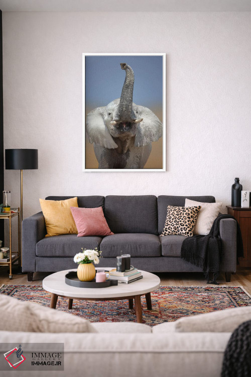 تابلو دکوراتیو پرتره فیل اثر یوهان سوانپوئل - D2W