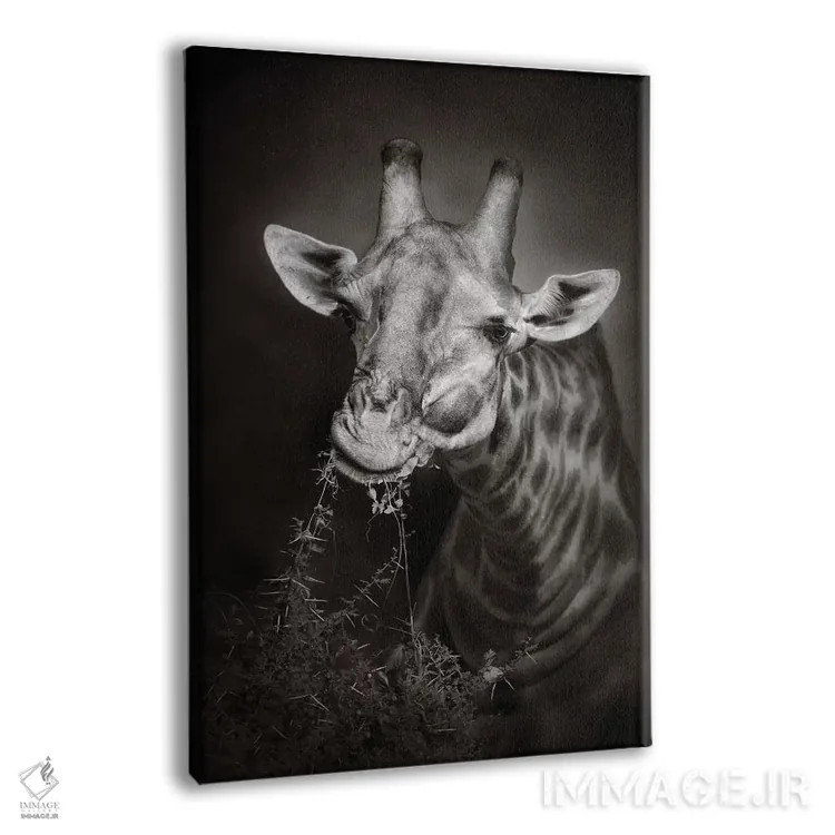 تابلو دکوراتیو زرافه در حال غذا خوردن اثر یوهان سوانپوئل - نمای پرسپکتیو محصول