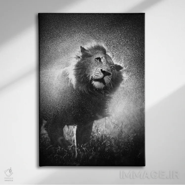 تابلو دکوراتیو شیر در حال تکاندن آب از یال خود اثر یوهان سوانپوئل - نمای روبهرو روی دیوار