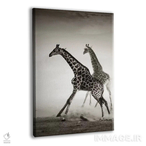 تابلو دکوراتیو زرافه ها در حال فرار اثر یوهان سوانپوئل - نمای پرسپکتیو محصول